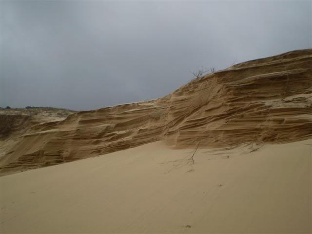 P1010350Medium.jpg