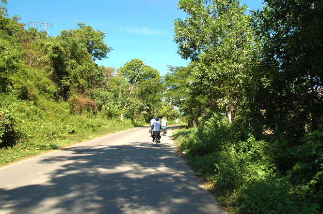 DSC_6549.gif