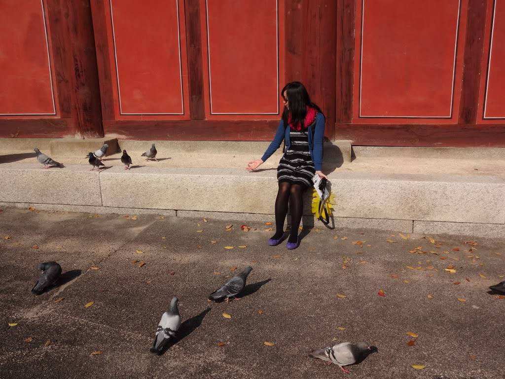 DSC00286.jpg