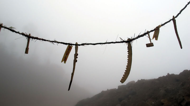 HongNgai2011374.jpg
