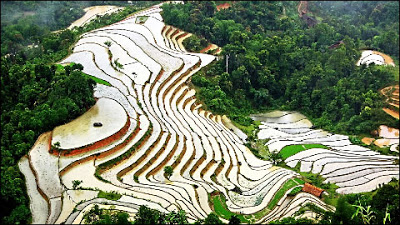 Hoangsuphi1.jpg