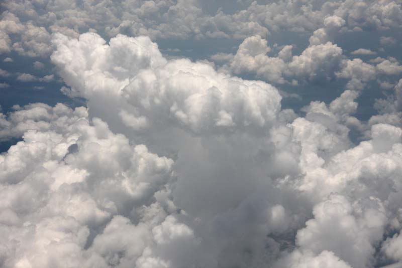 IMG_7124.jpg
