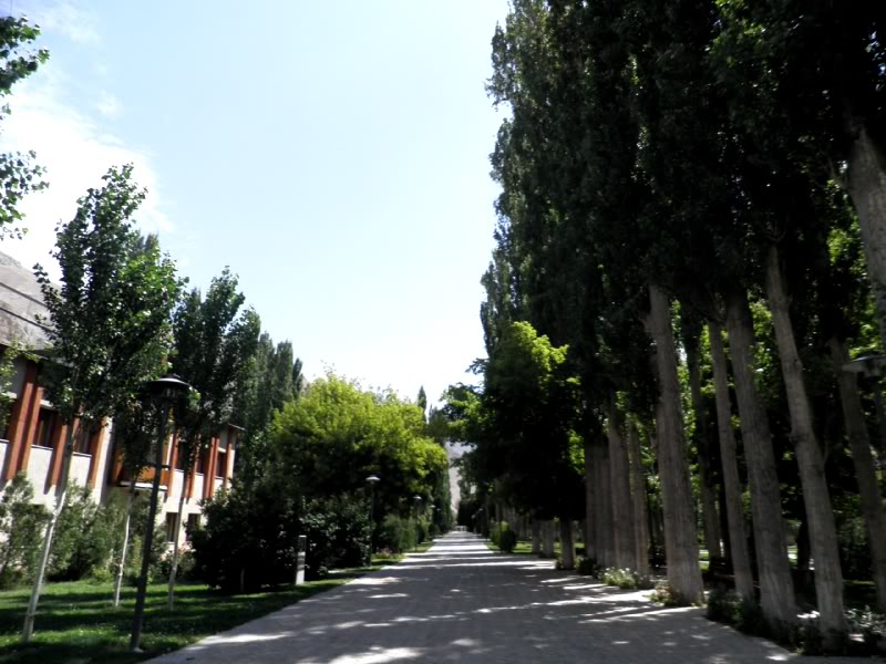 P8080302.jpg