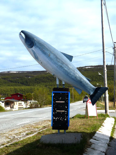 P1120117.jpg