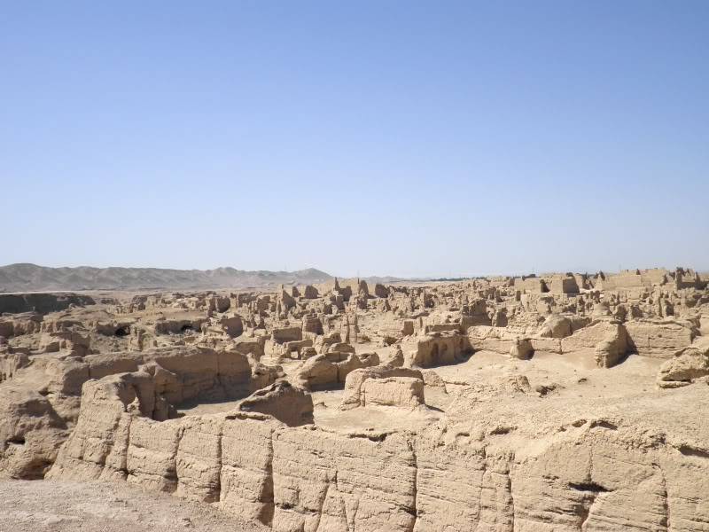 P9011725.jpg