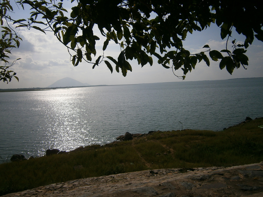 7595125588_9f3d4bc407_b.jpg