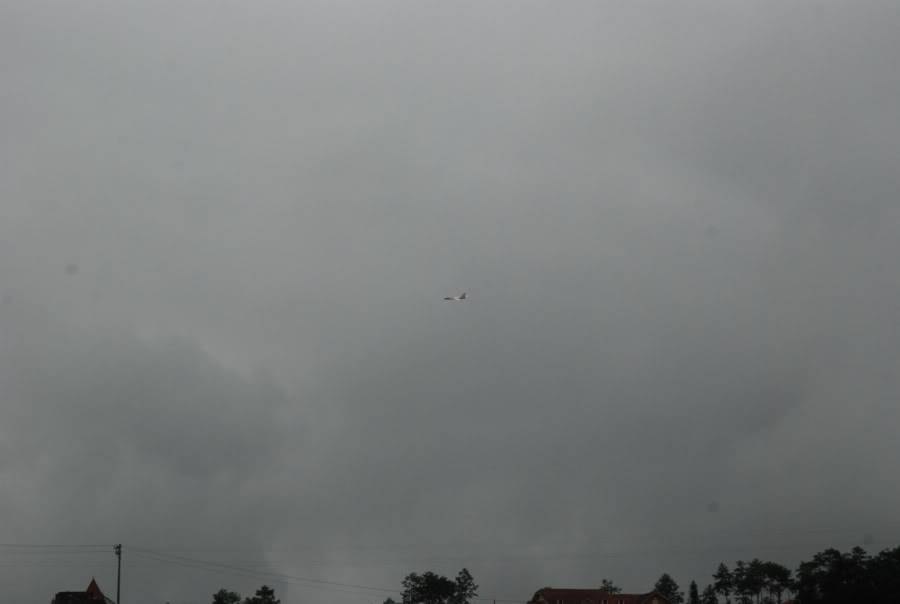 LamDSC_0009-2.jpg