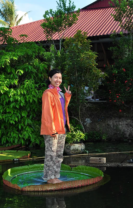 111.jpg