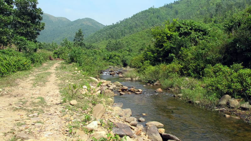 TayYenTu1010520.jpg