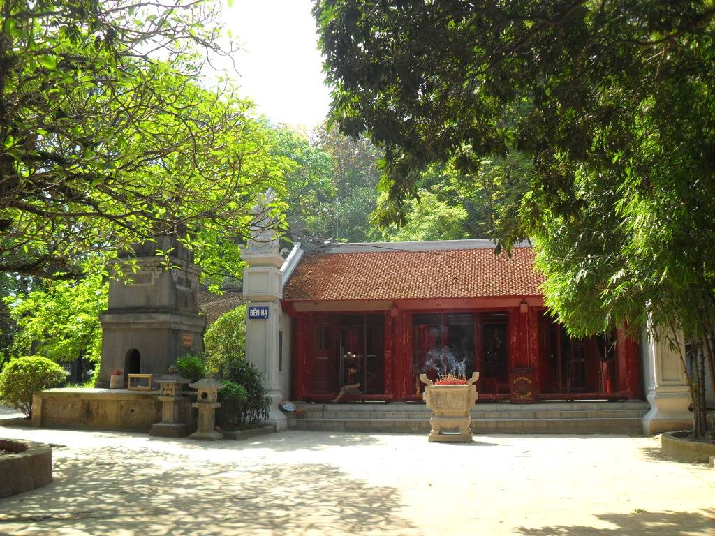 SDC14659.jpg