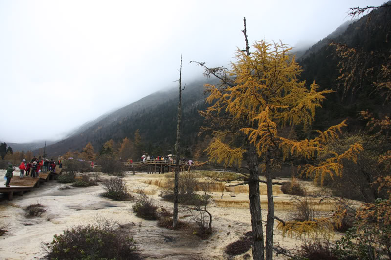 hoanglong131.jpg