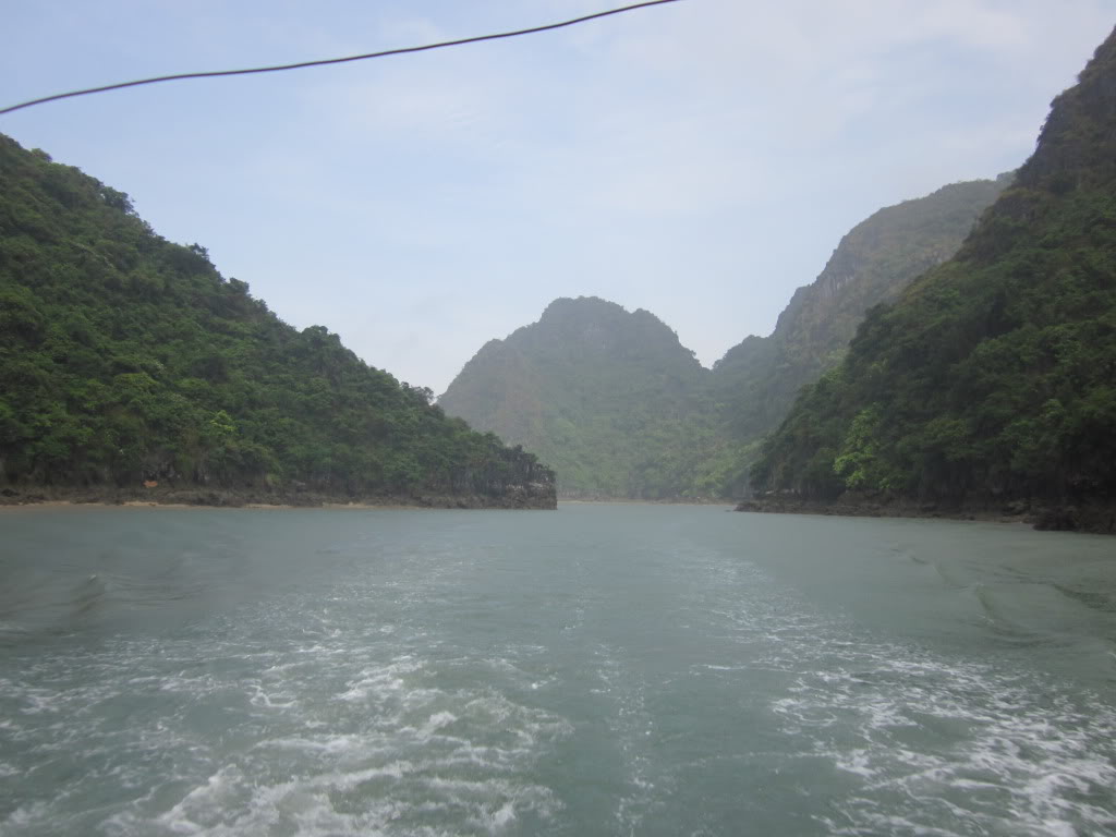 IMG_3117.jpg