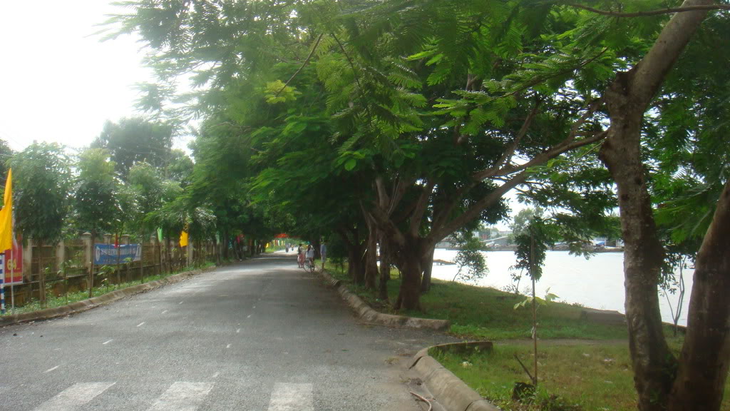 159.jpg