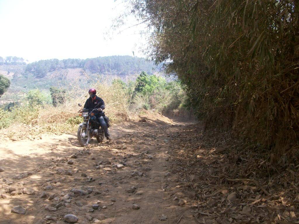 100_5108_zps09447526.jpg