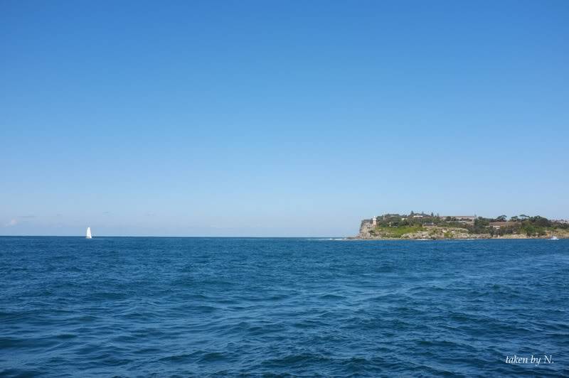 2012_0515BS.jpg