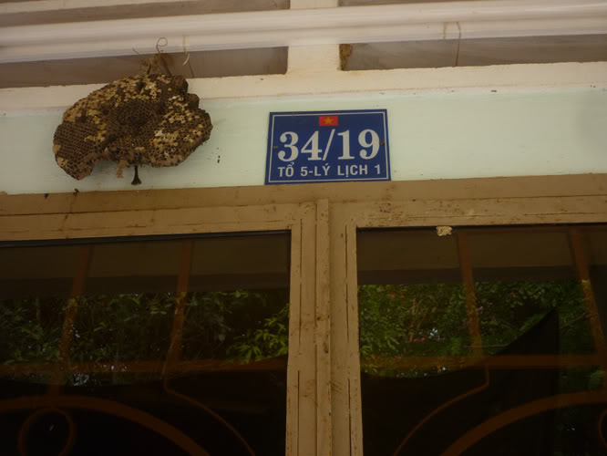 P1240621.jpg