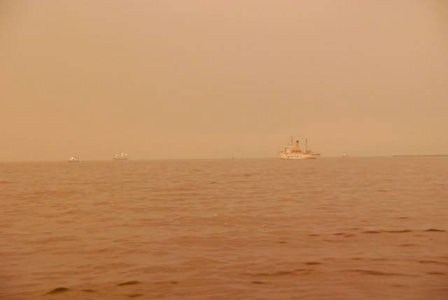 DSC_1903.jpg