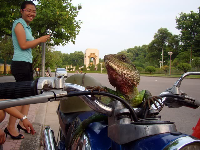 DSC03502.jpg