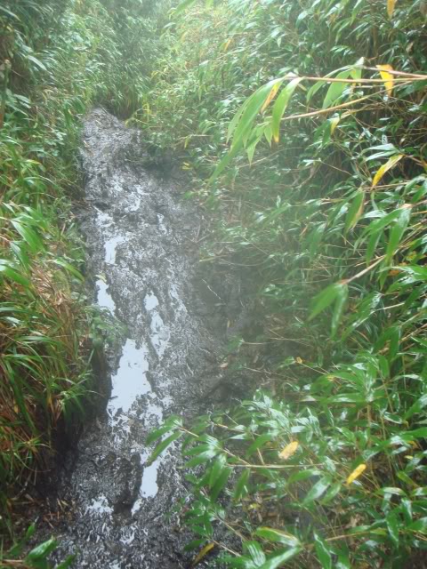 DSC05990.jpg