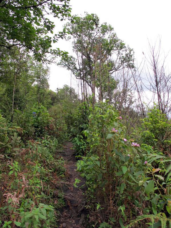 IMG_7264.jpg