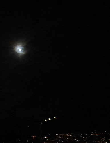 DSC05735.jpg