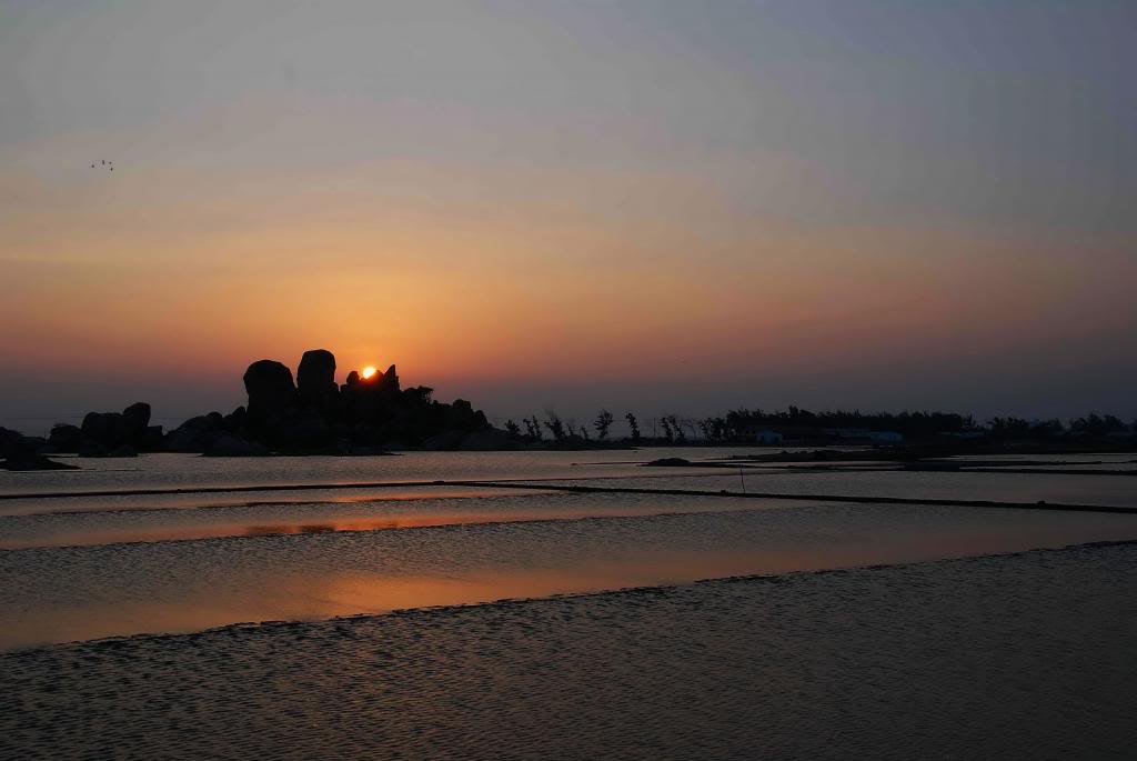 DSC_1599_zps3a0c11ad.jpg