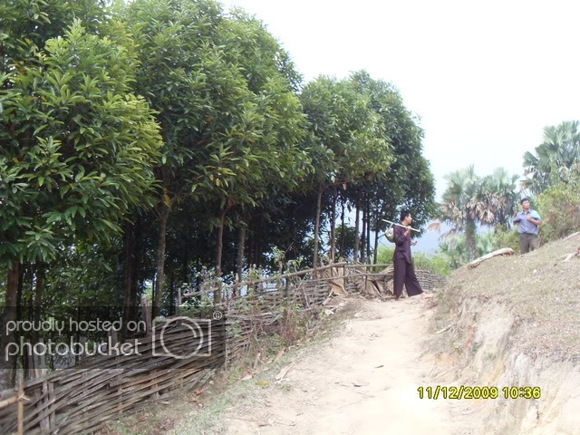 SDC12043.jpg