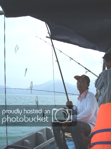 Longbaynho.jpg