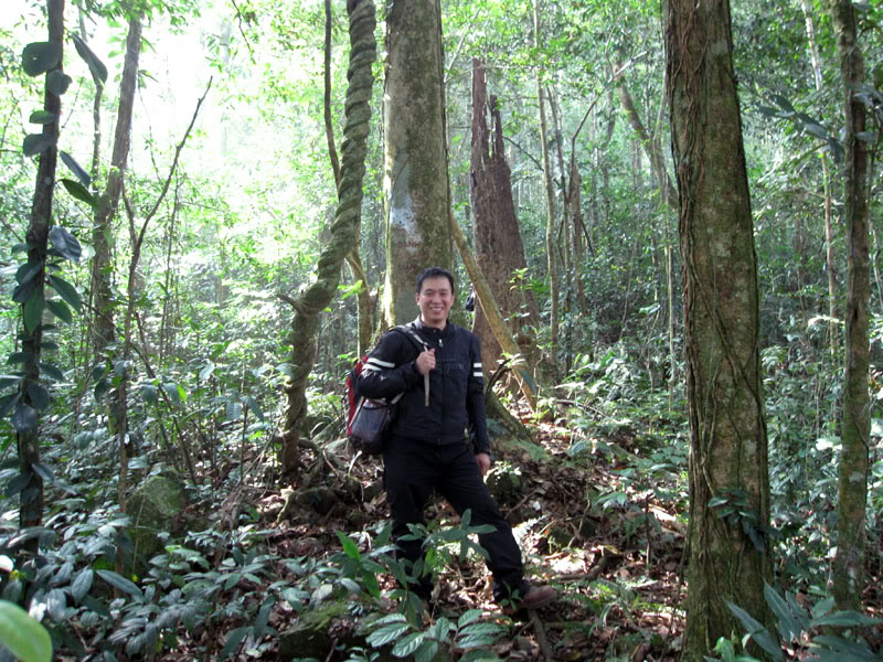 Xuanson2009284.jpg