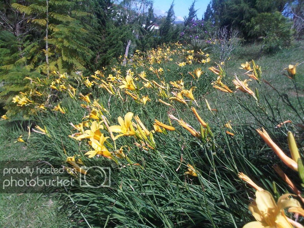 IMG-20111122-00177.jpg