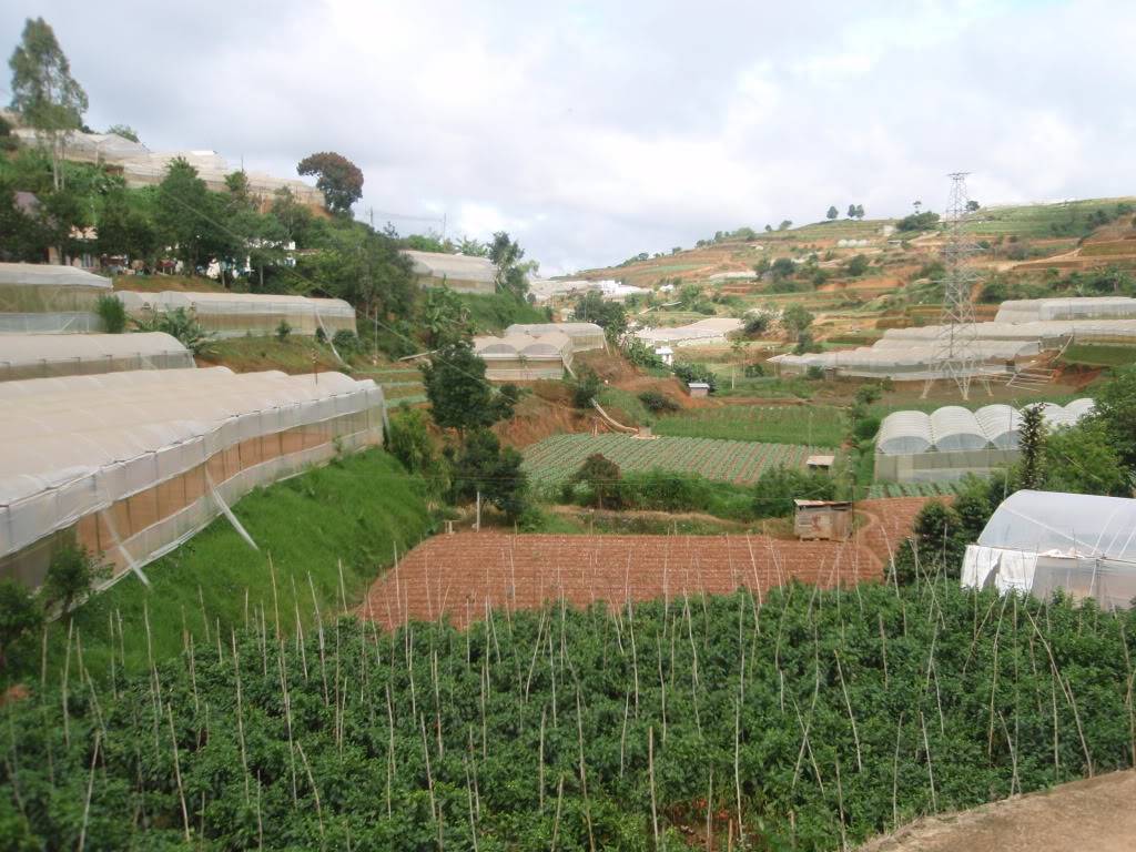 P1014238.jpg