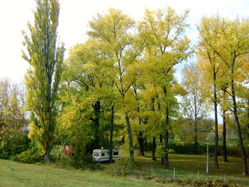 DSC06588.jpg