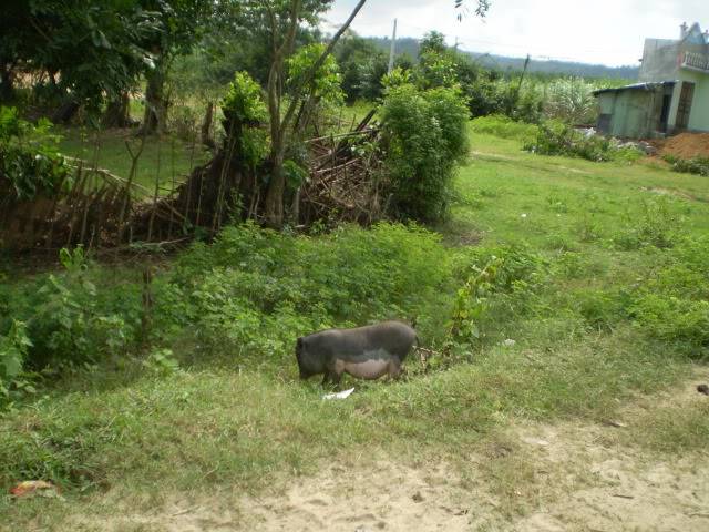 P1010175.jpg