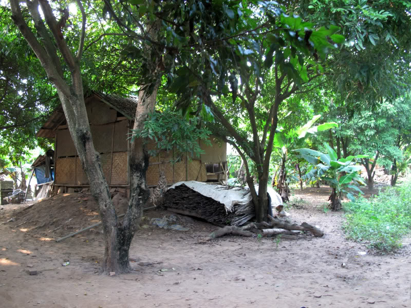 sh28.jpg