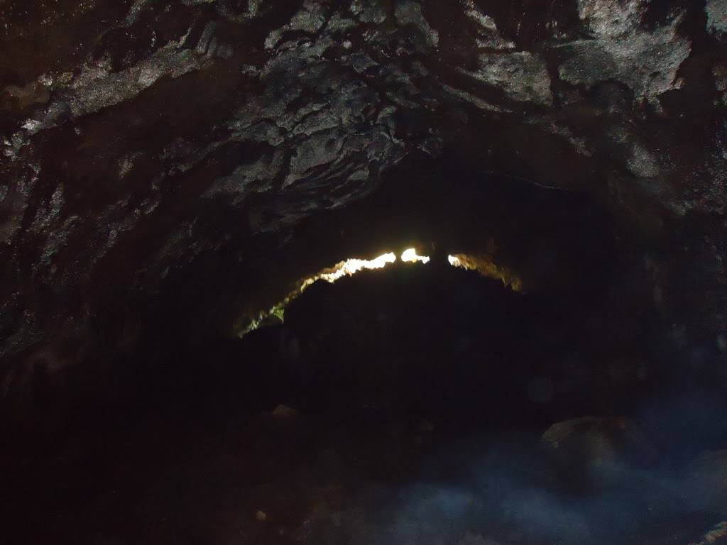 DSC01221.jpg