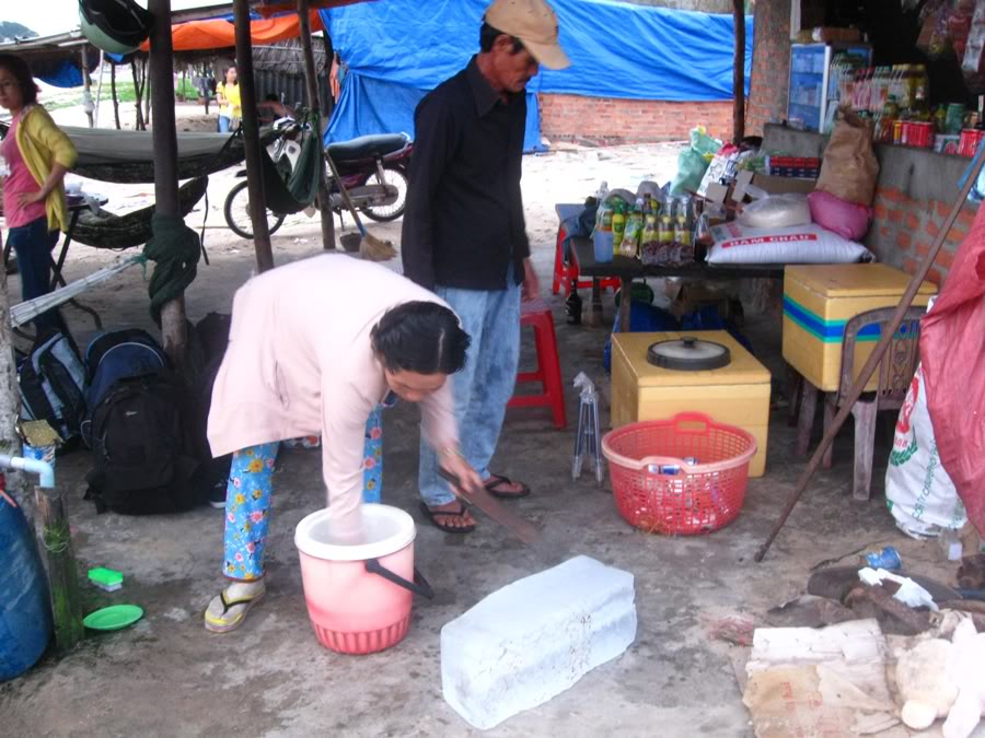IMG_7964.jpg