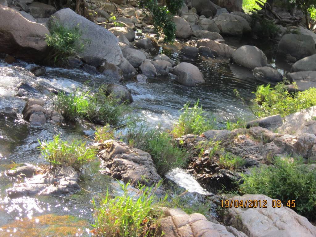 IMG_5076.jpg