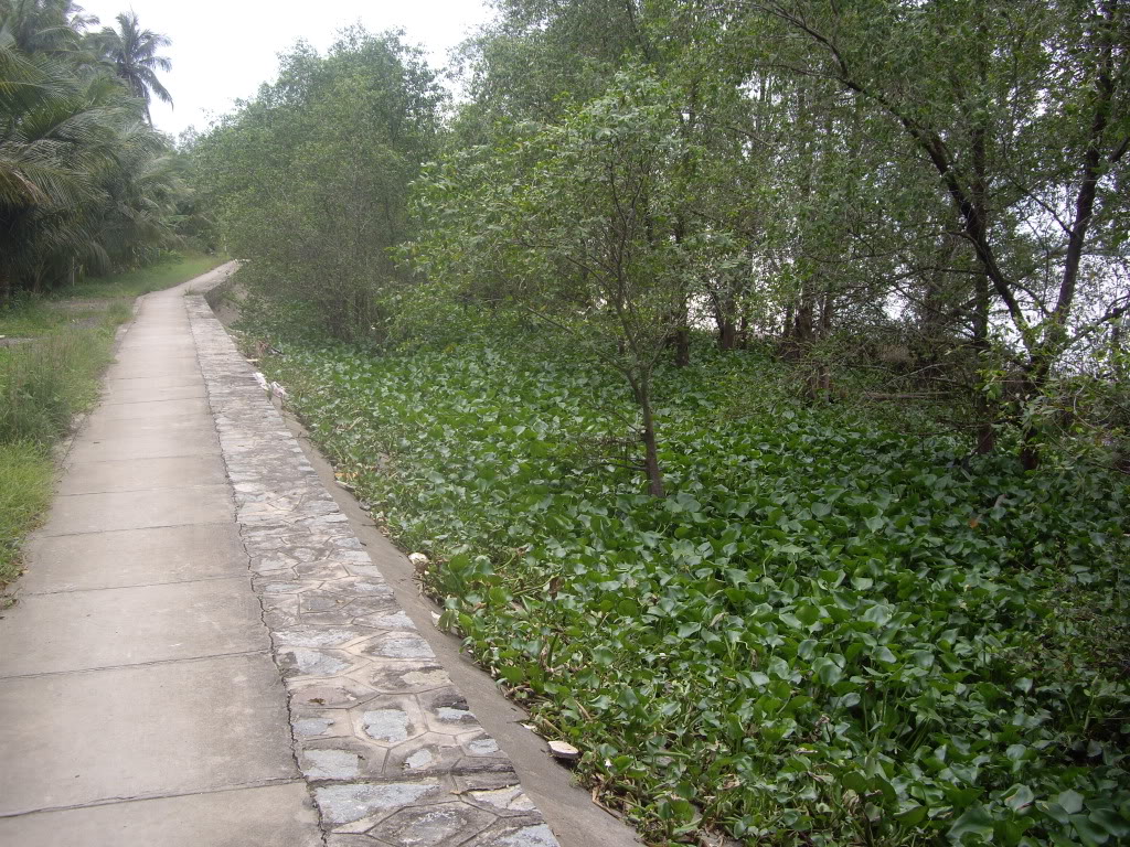 IMGP5507.jpg