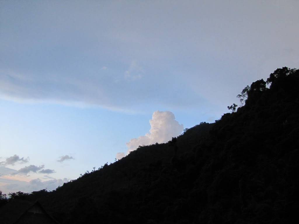IMG_3168.jpg
