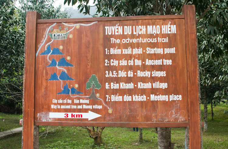 cucphuong1of1.jpg