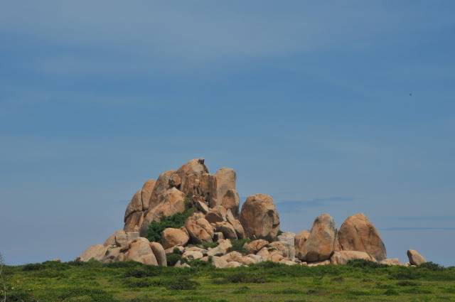 DSC_1870-1.jpg
