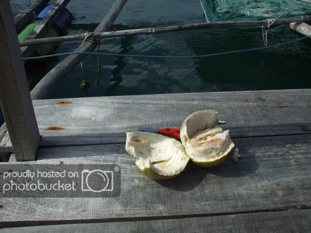 DSCF41191.jpg