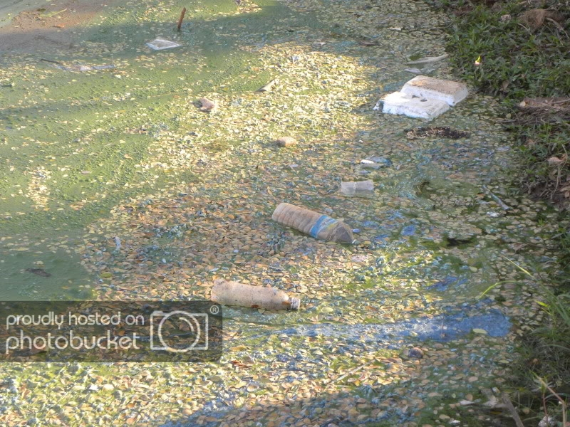 DSCN4082.jpg