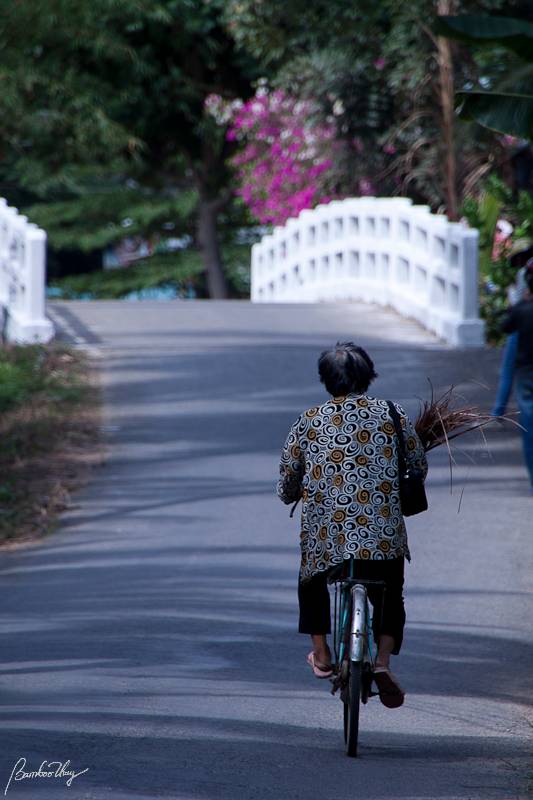 BenTre-7109.jpg