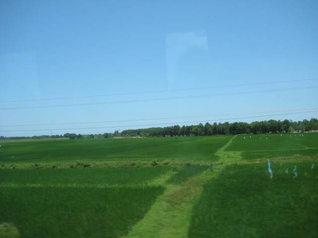 IMG_0491.jpg