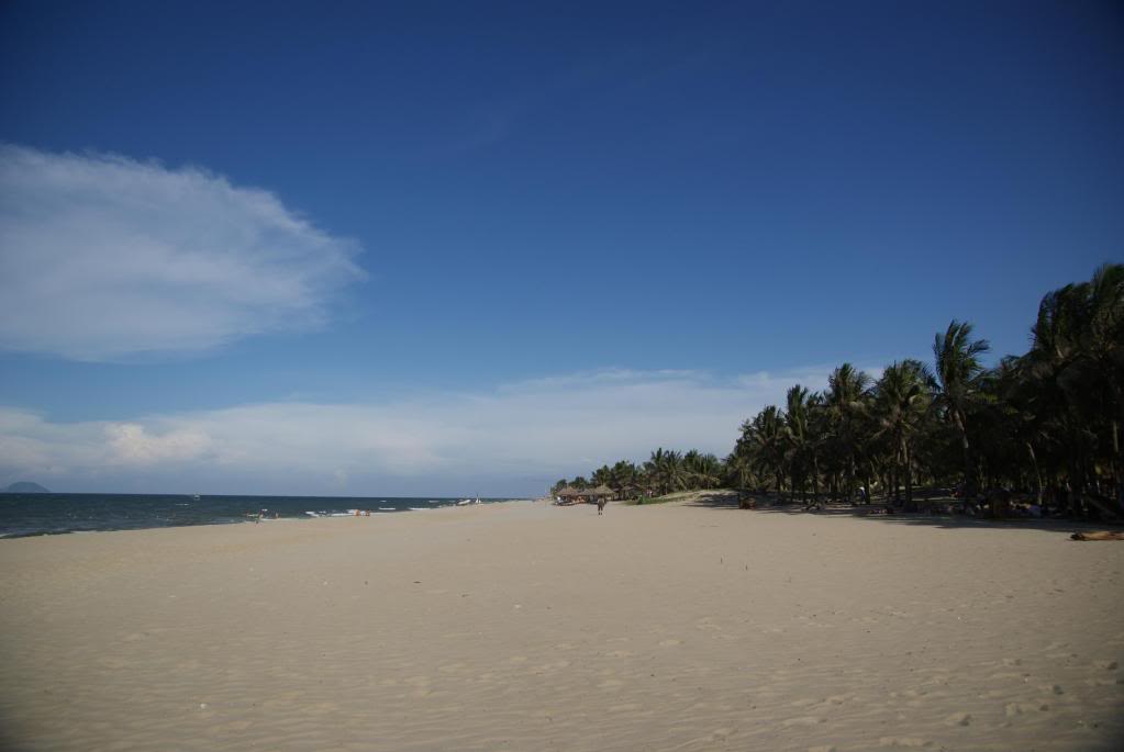 DSC01005.jpg