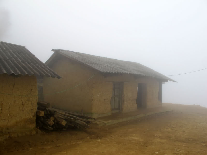 HongNgai2011494.jpg