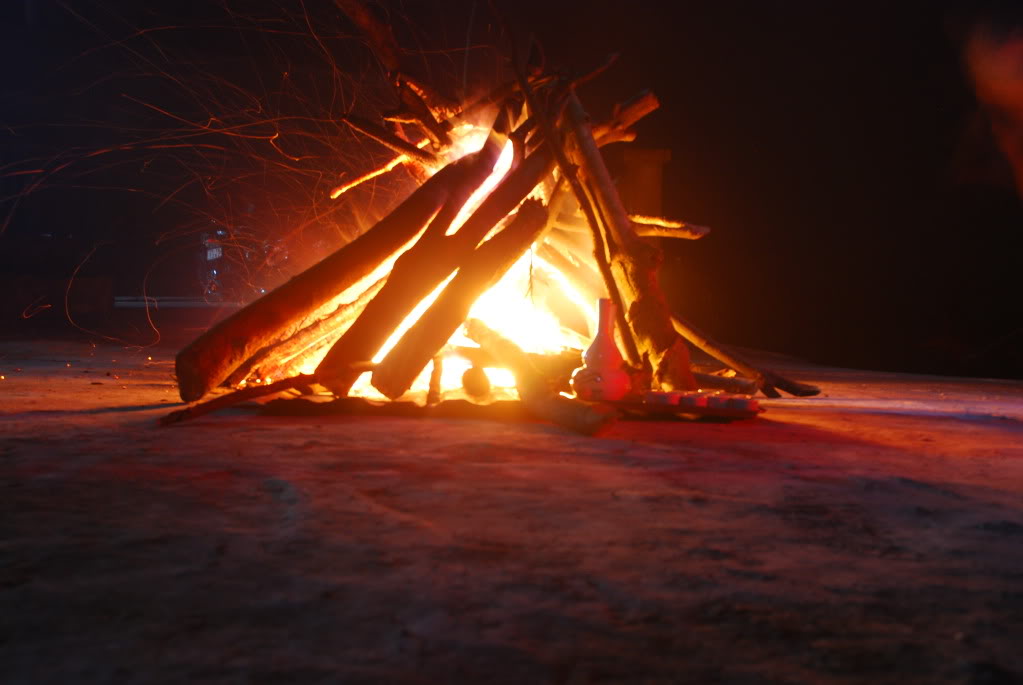 DSC_0390.jpg