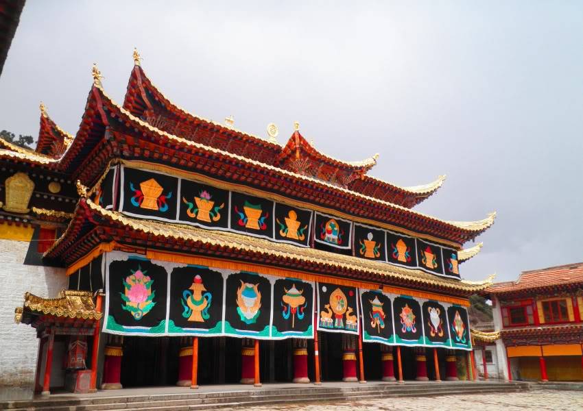 P4160531-1.jpg