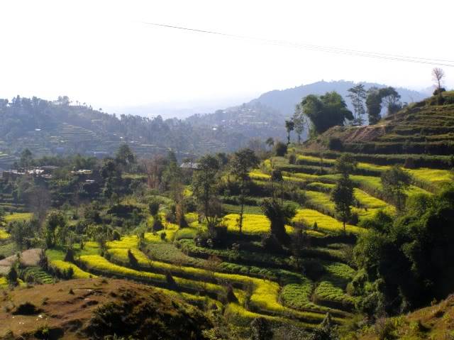 PB010110.jpg